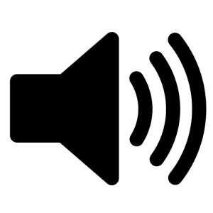 Play/Stop audio